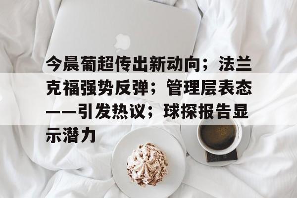 爱游戏-今晨葡超传出新动向；法兰克福强势反弹；管理层表态——引发热议；球探报告显示潜力的简单介绍
